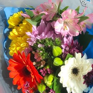 Meet your Posher, Adi